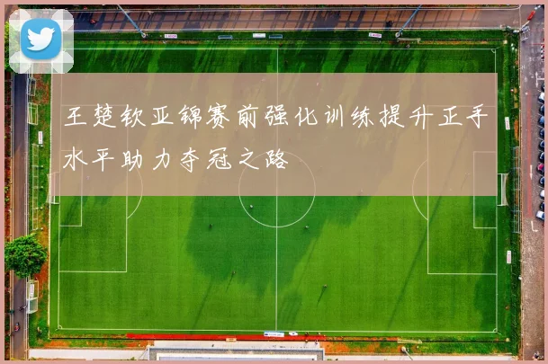 王楚钦亚锦赛前强化训练提升正手水平助力夺冠之路